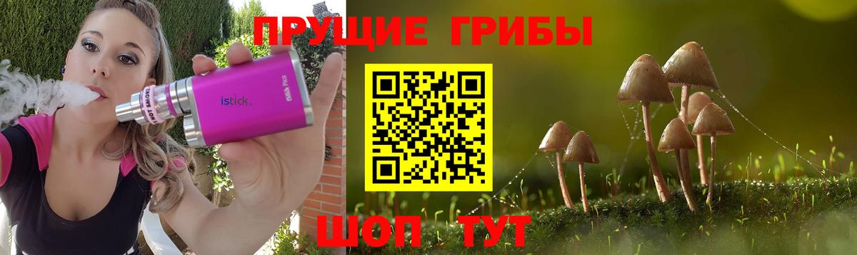 Валуйки  Псилоцибиновые грибы MAGIC MUSHROOMS  Галлюциногенные грибы прущие грибы  Вход с VPN 